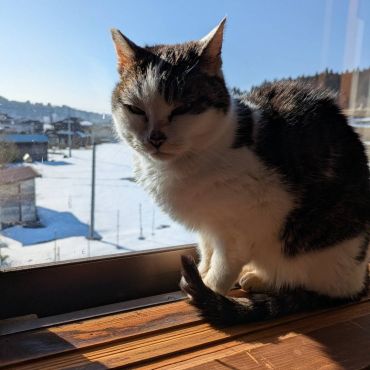 初春月のひなたぼっこ