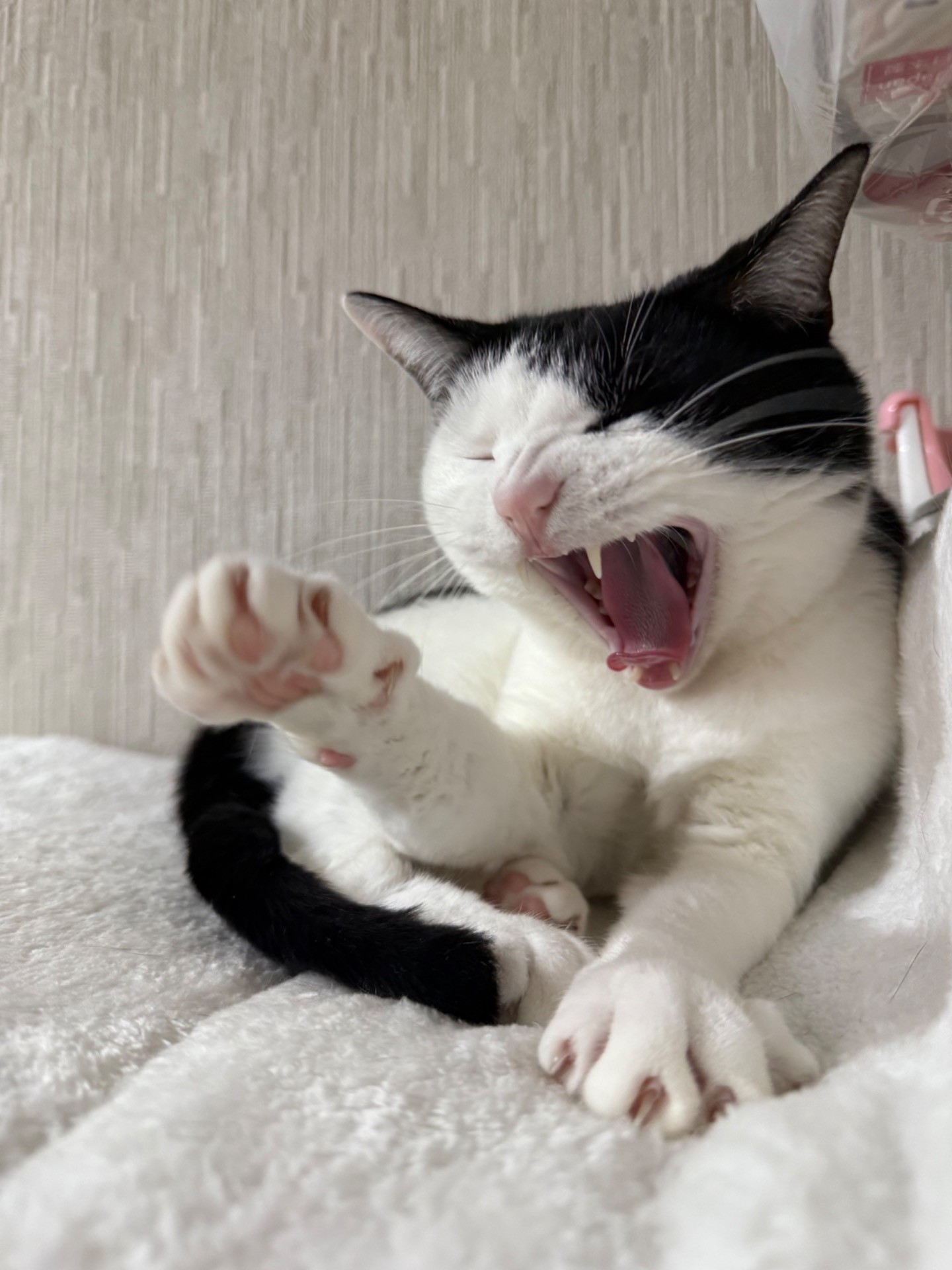 今日も気合いいれていくぞ!