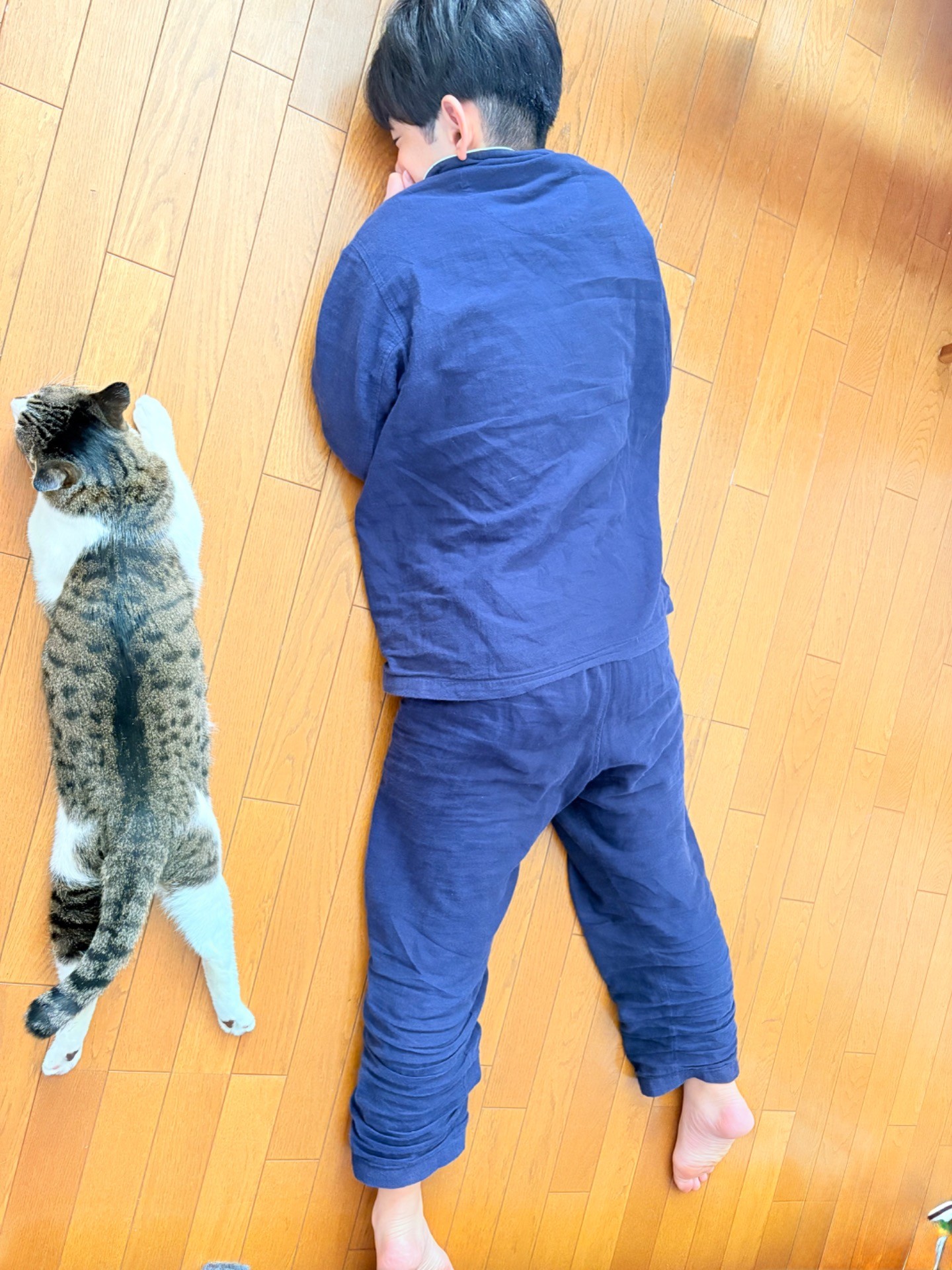 真似したのだぁれ