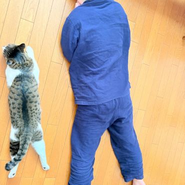 真似したのだぁれ