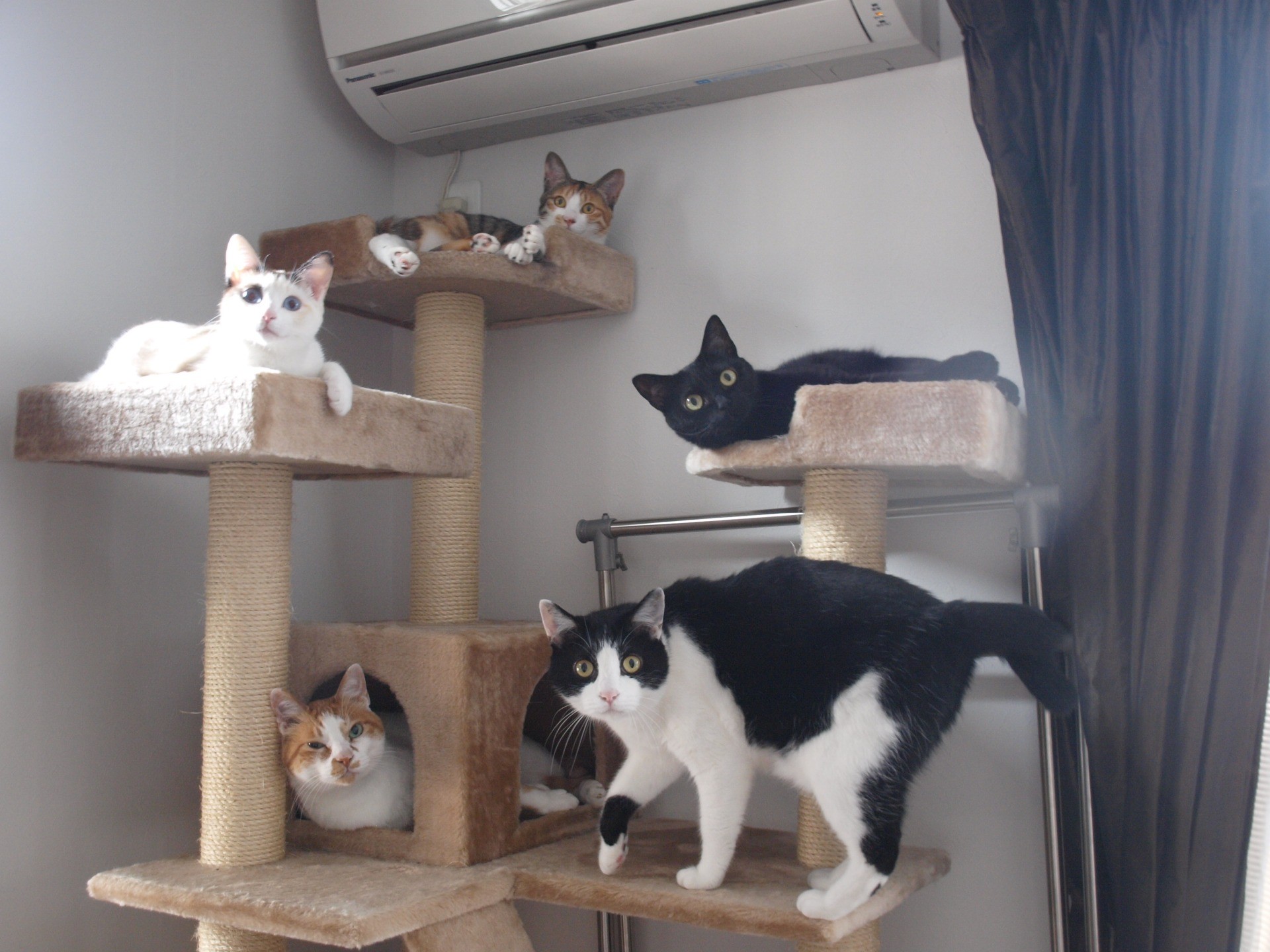 みんにゃお外から来たよ！