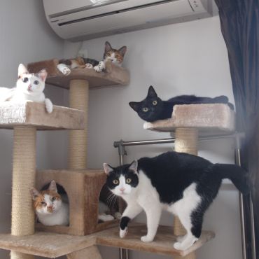 みんにゃお外から来たよ！