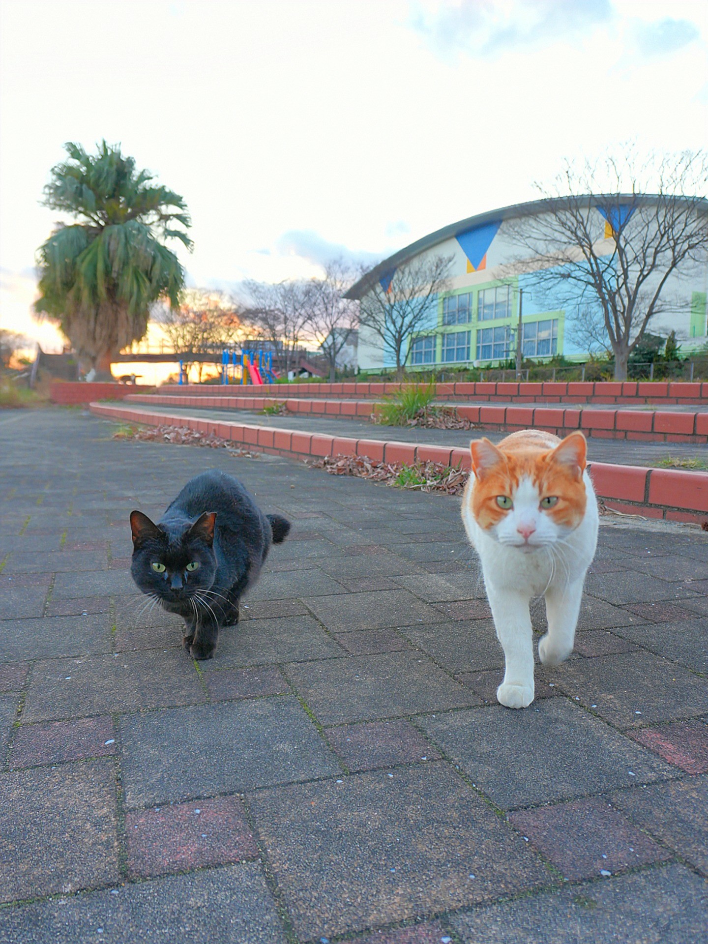 今日も、ここで生きている