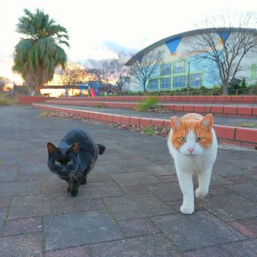 今日も、ここで生きている