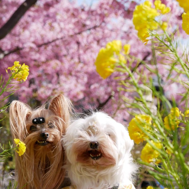 お出かけの楽しさを知ったよ!!