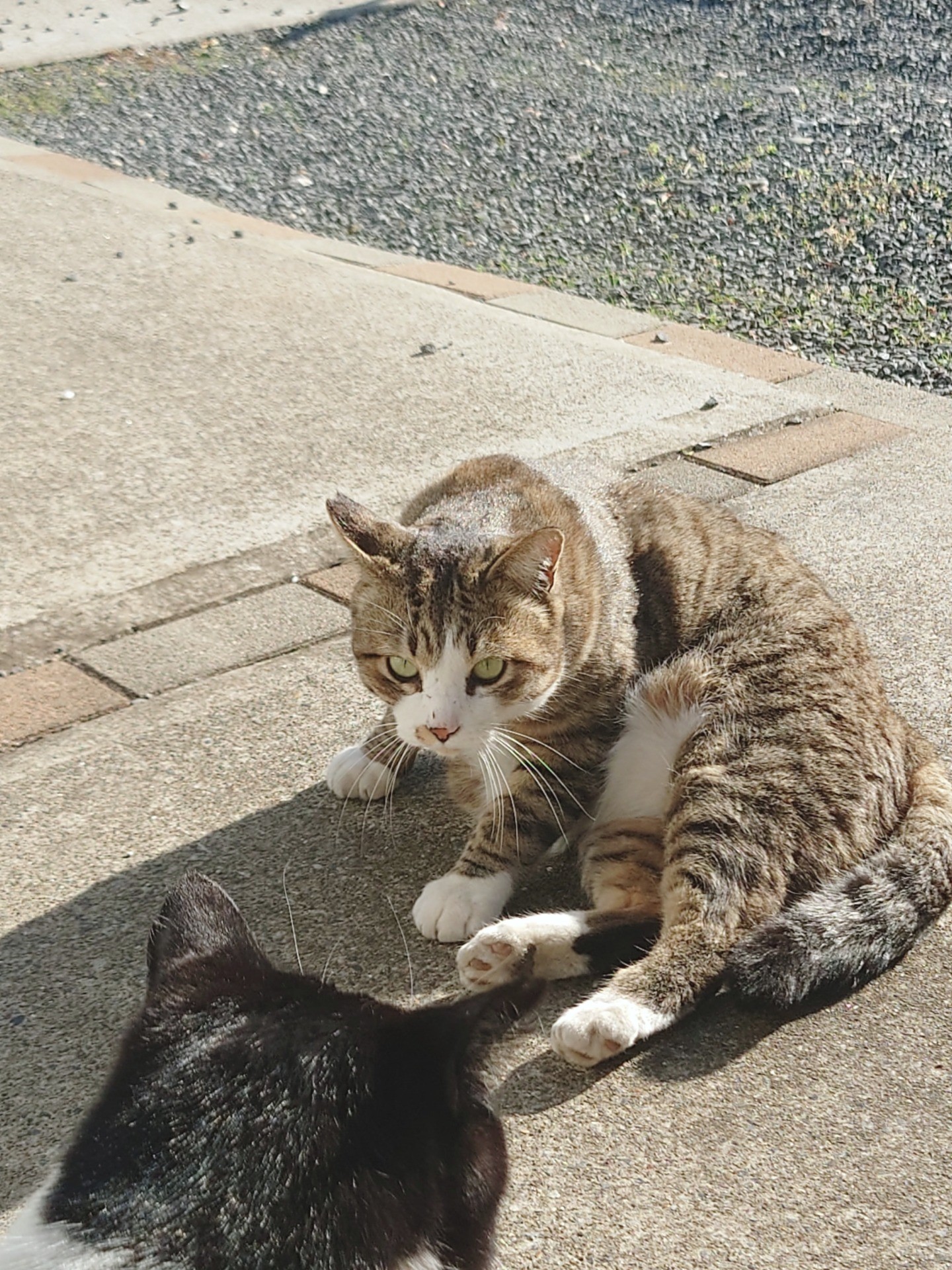 生きる　生きる　今日も強く