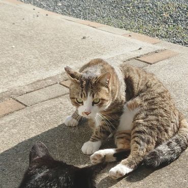 生きる　生きる　今日も強く