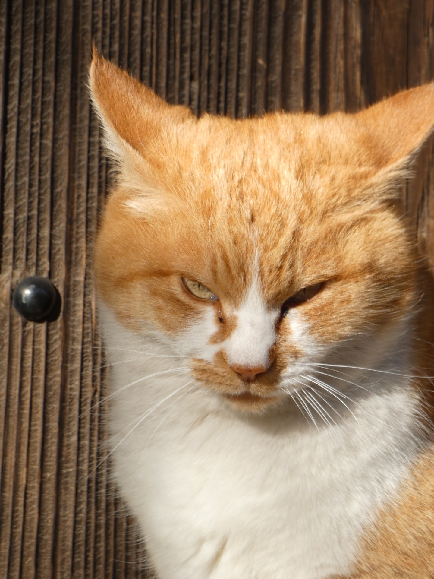 瞳の向こうには