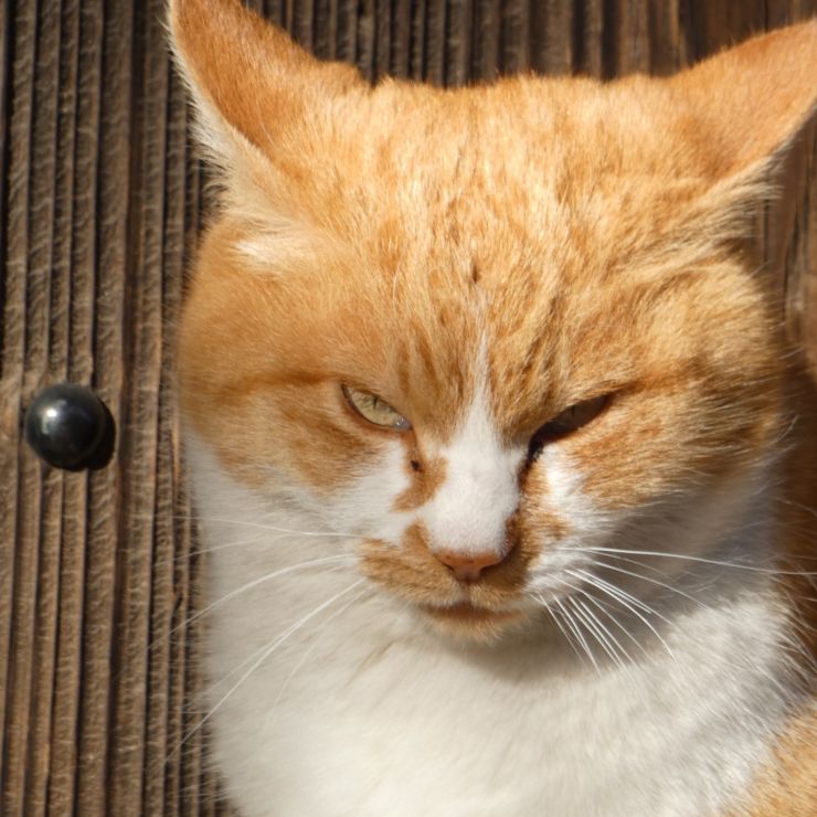 瞳の向こうには