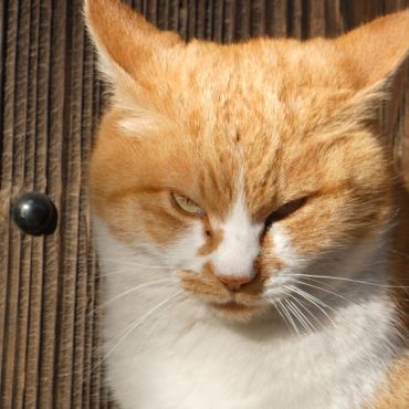 瞳の向こうには