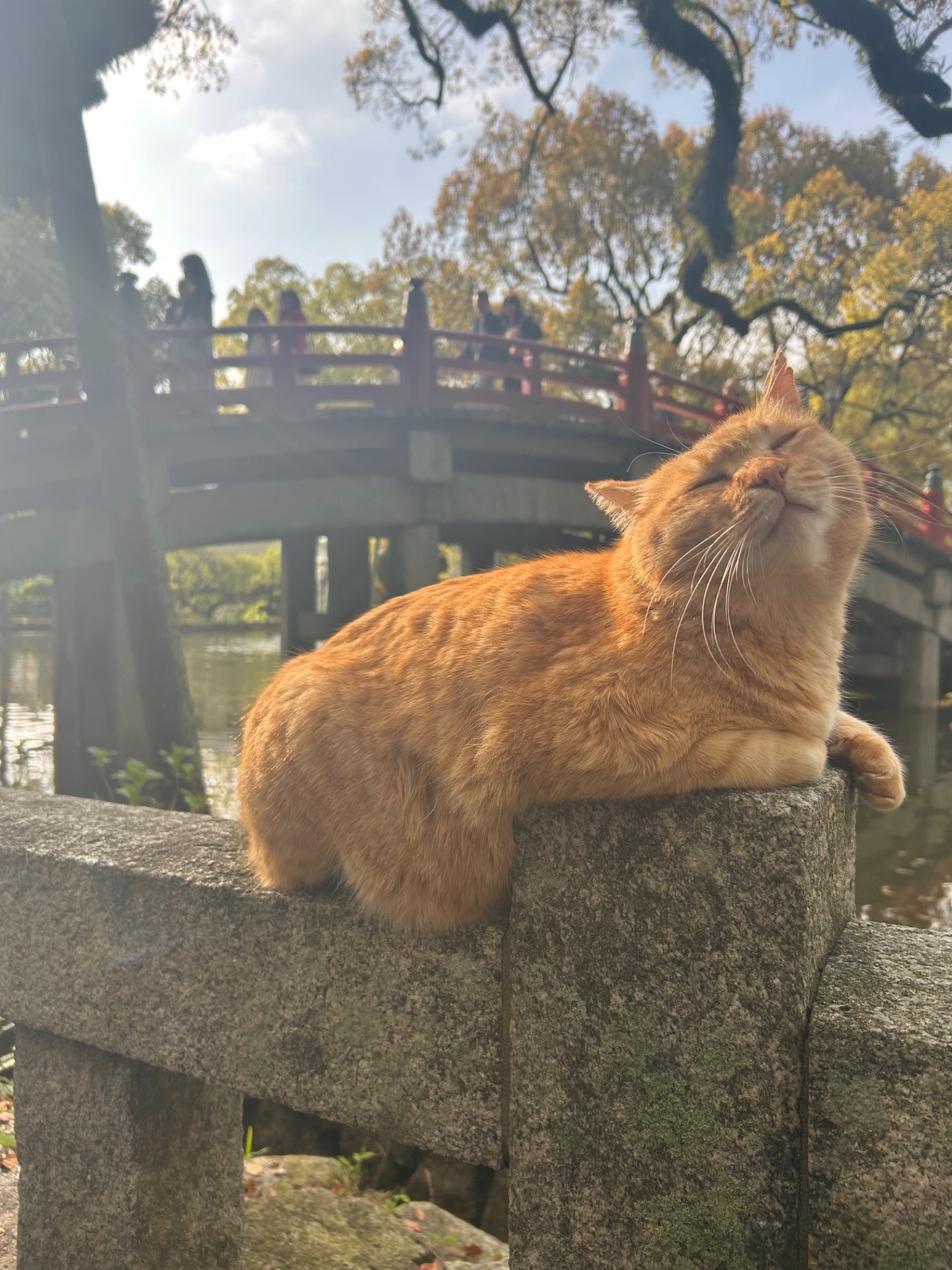 ここにいる理由