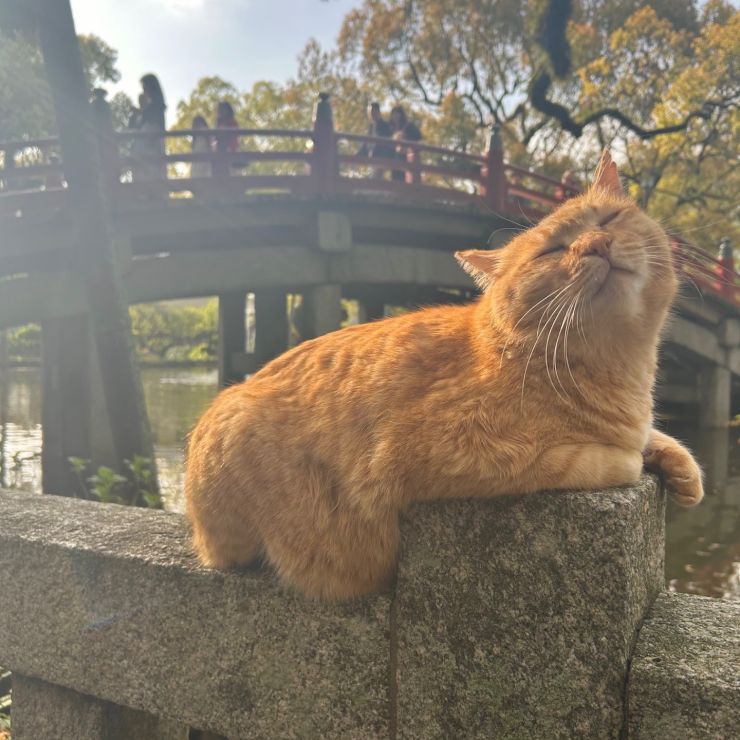 ここにいる理由