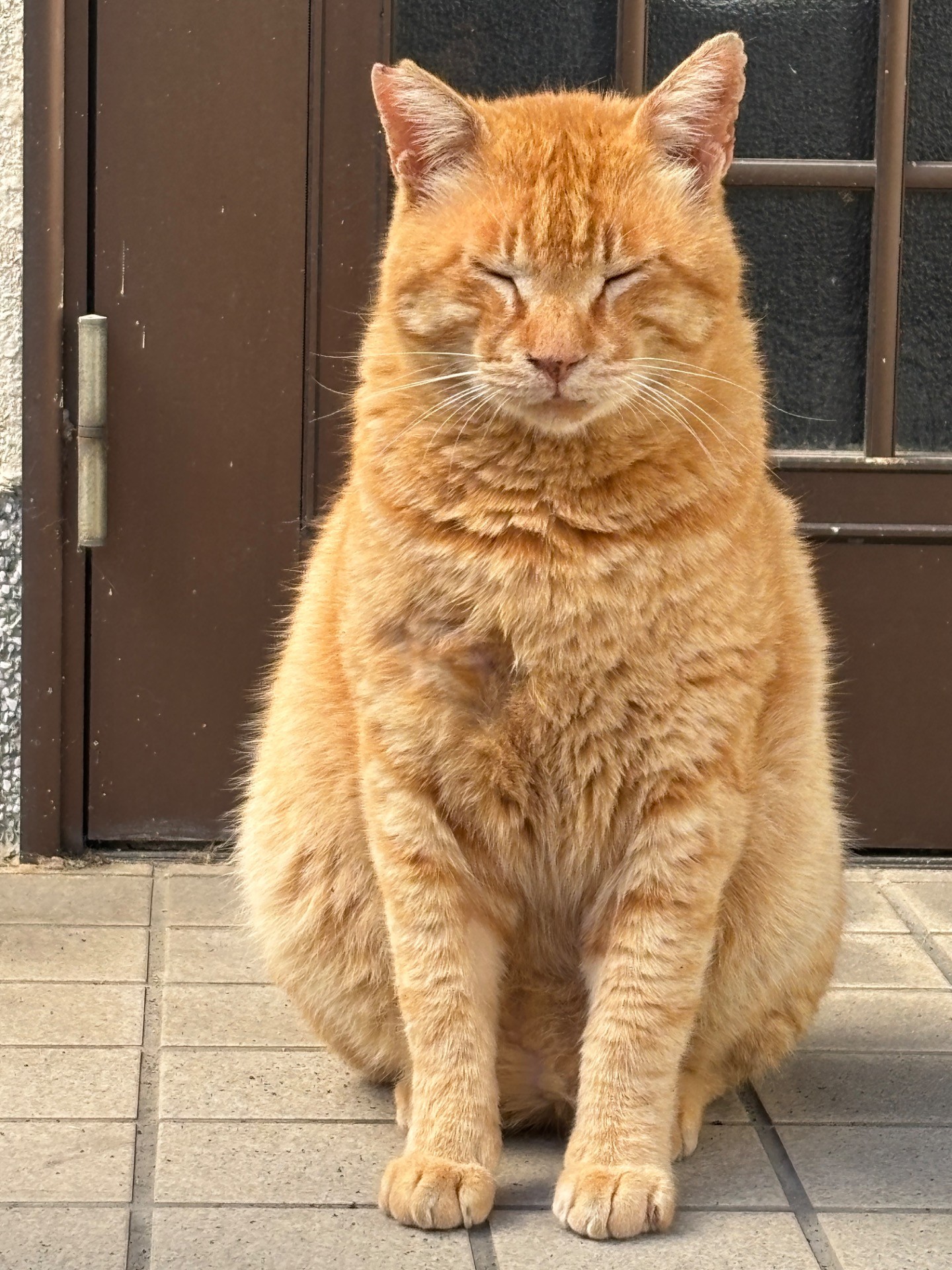 おかえりなさい　ごはんまだですか？