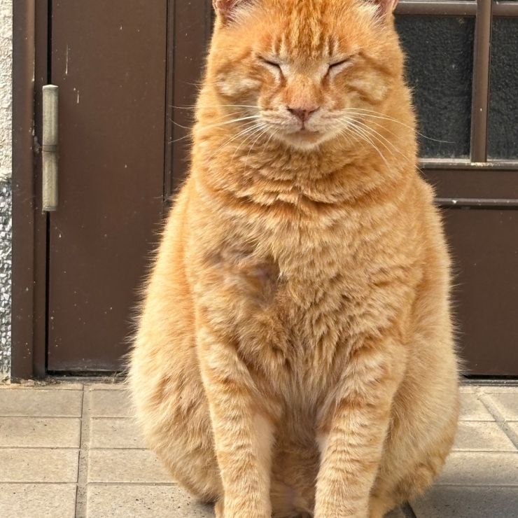 おかえりなさい　ごはんまだですか？