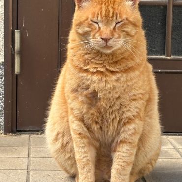 おかえりなさい　ごはんまだですか？