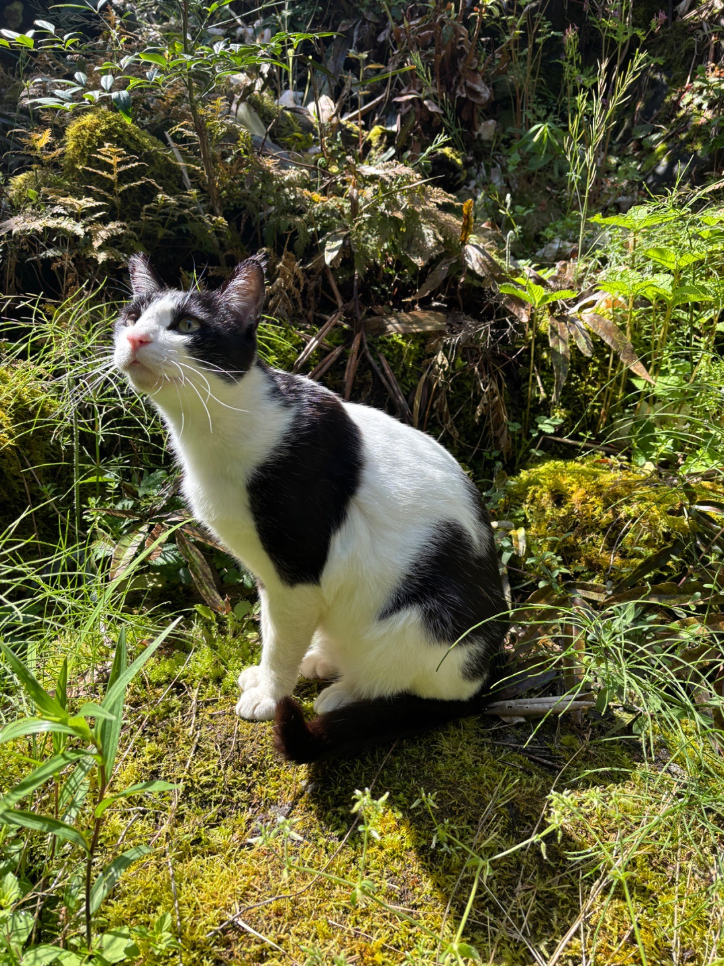 何見つけたの？