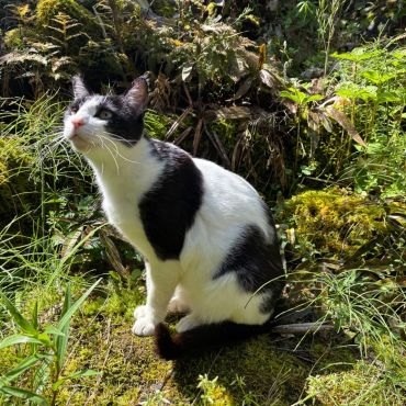 何見つけたの？