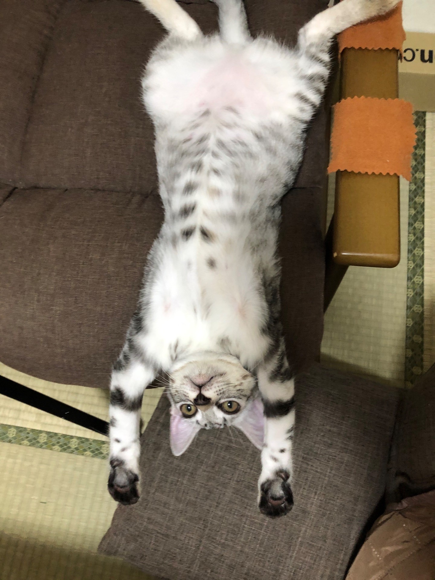 街中で生き延びた子