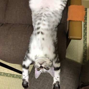 街中で生き延びた子