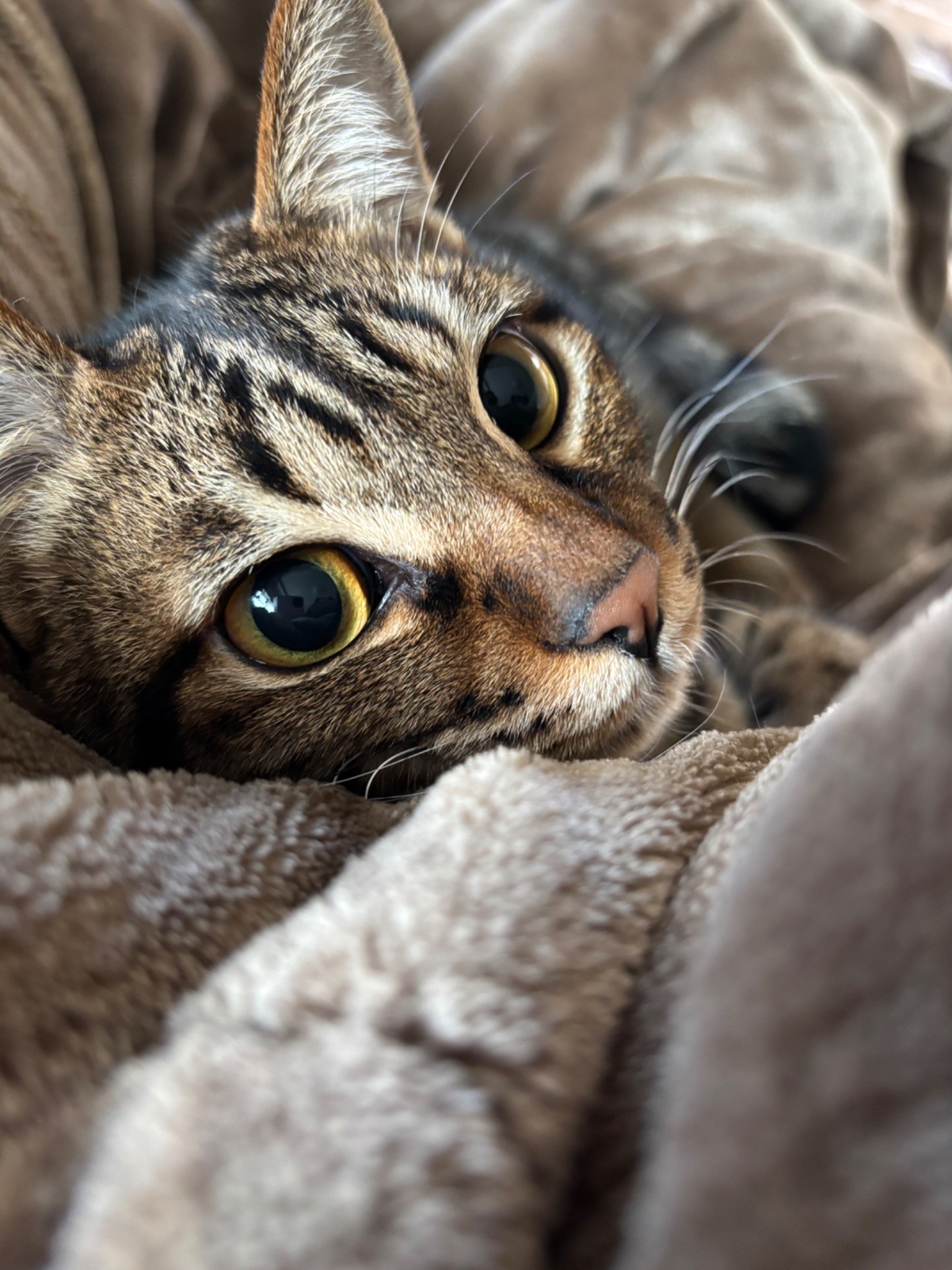 ぬくもりの中で見せた安心のまなざし