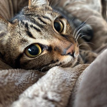 ぬくもりの中で見せた安心のまなざし