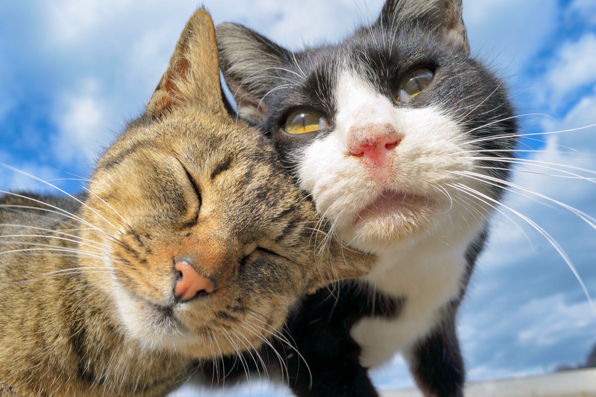 寄り添う空の下で