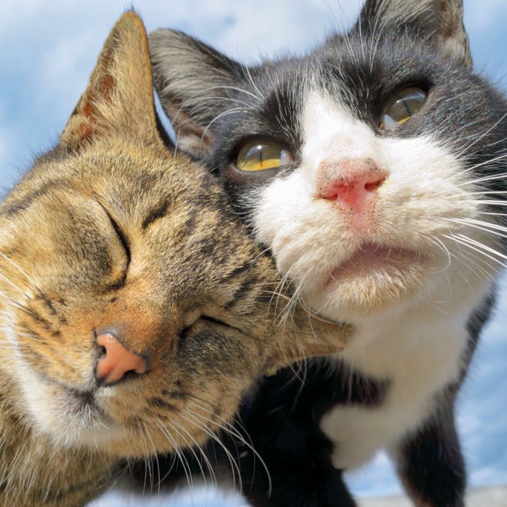 寄り添う空の下で