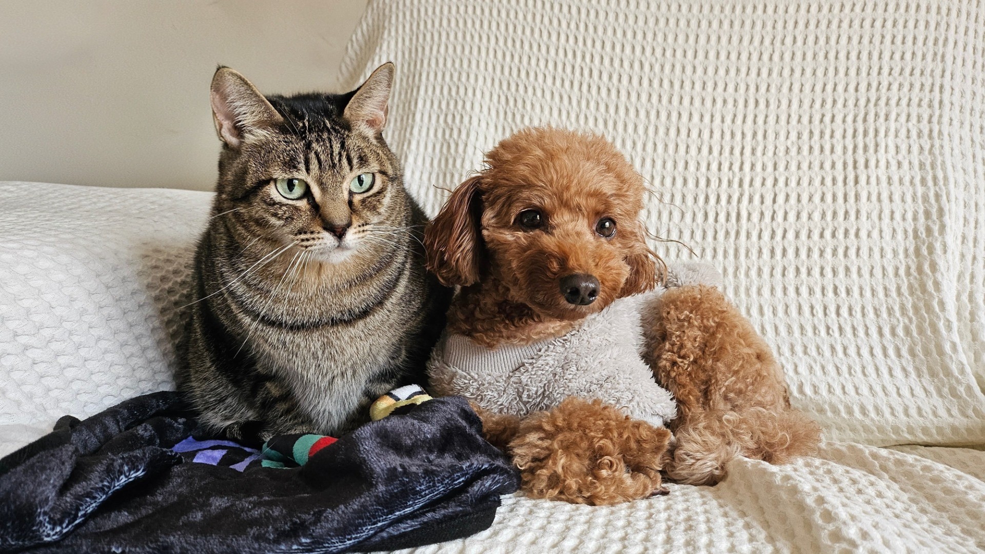 うちに来てくれてありがとう！