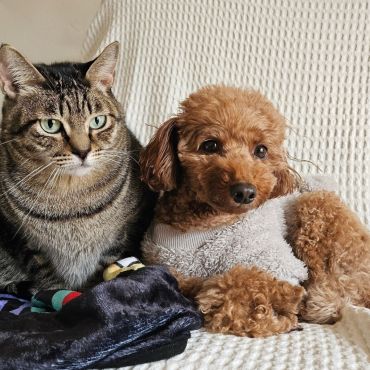 うちに来てくれてありがとう！