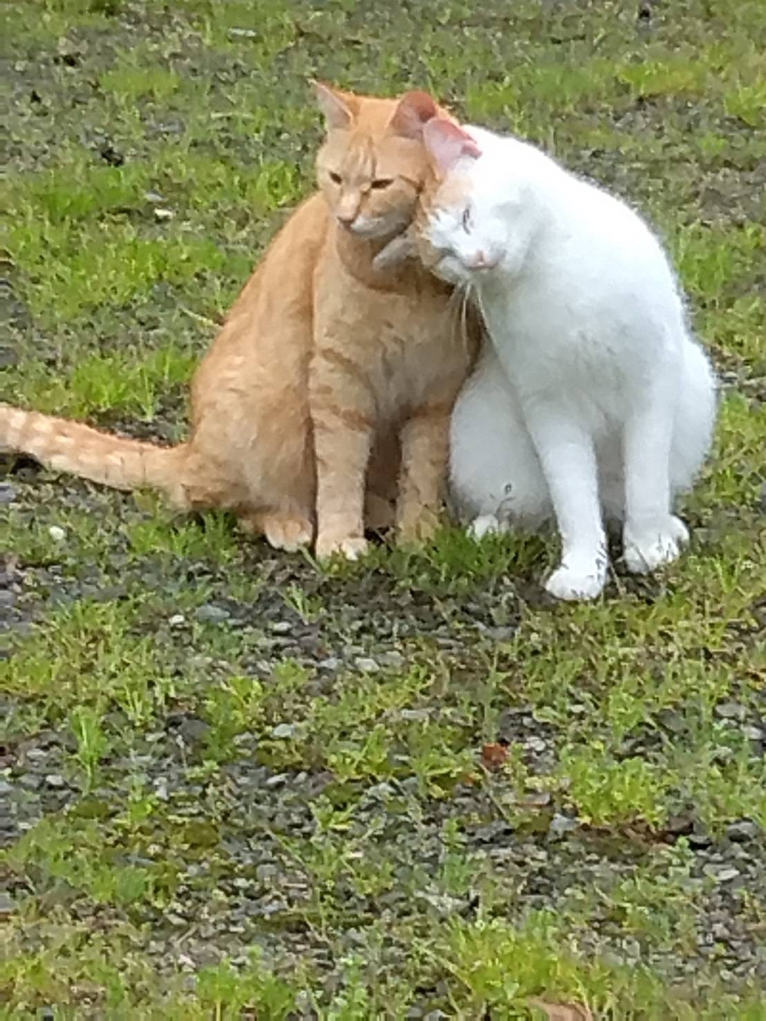 しあわせだね