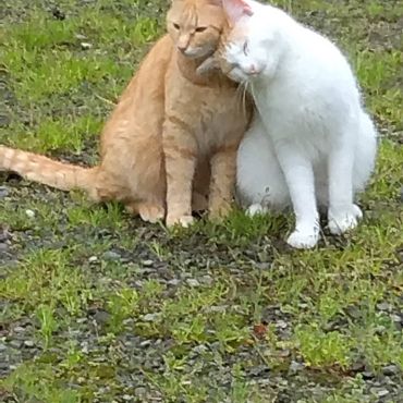 しあわせだね
