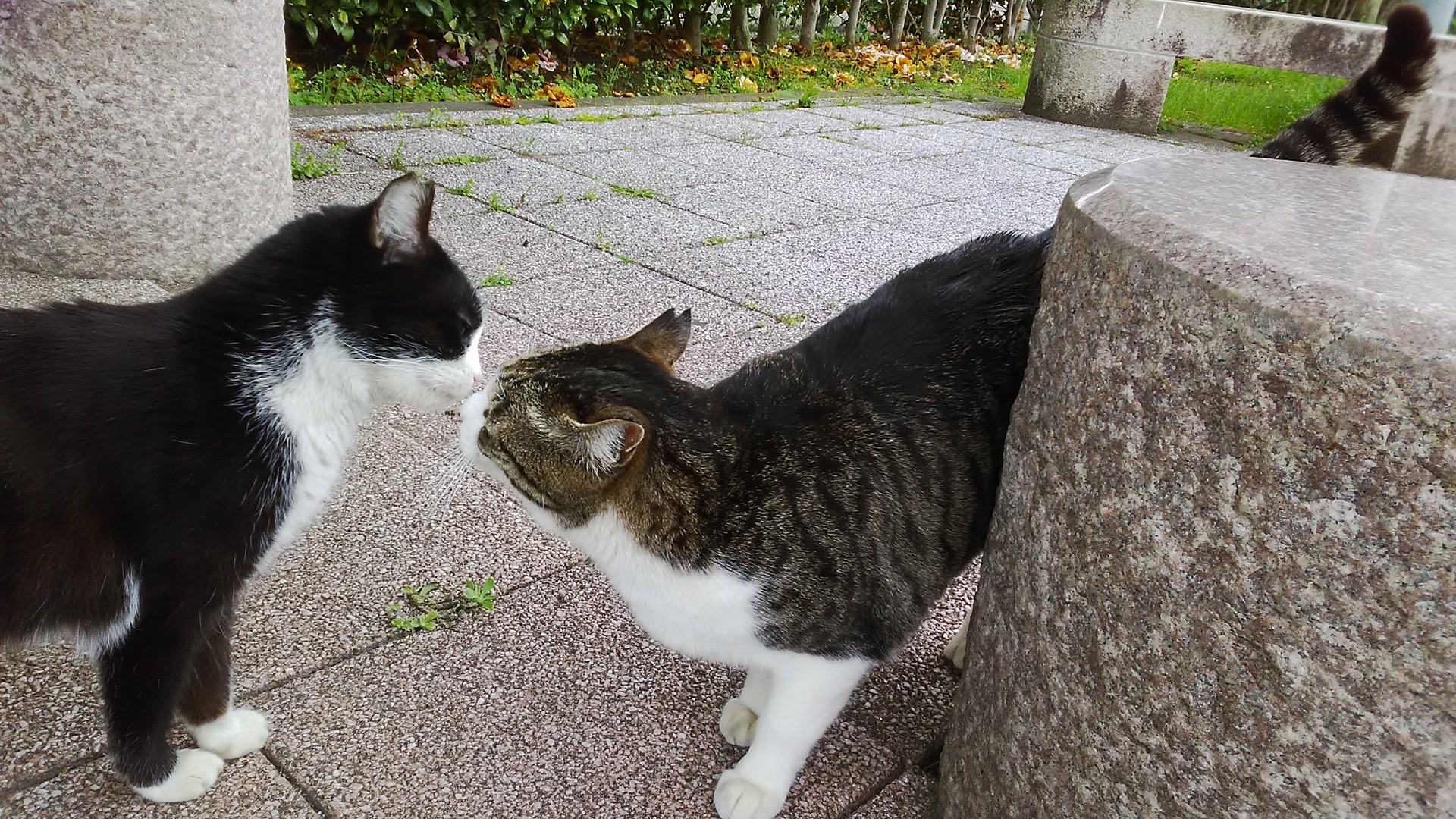 あいさつの距離