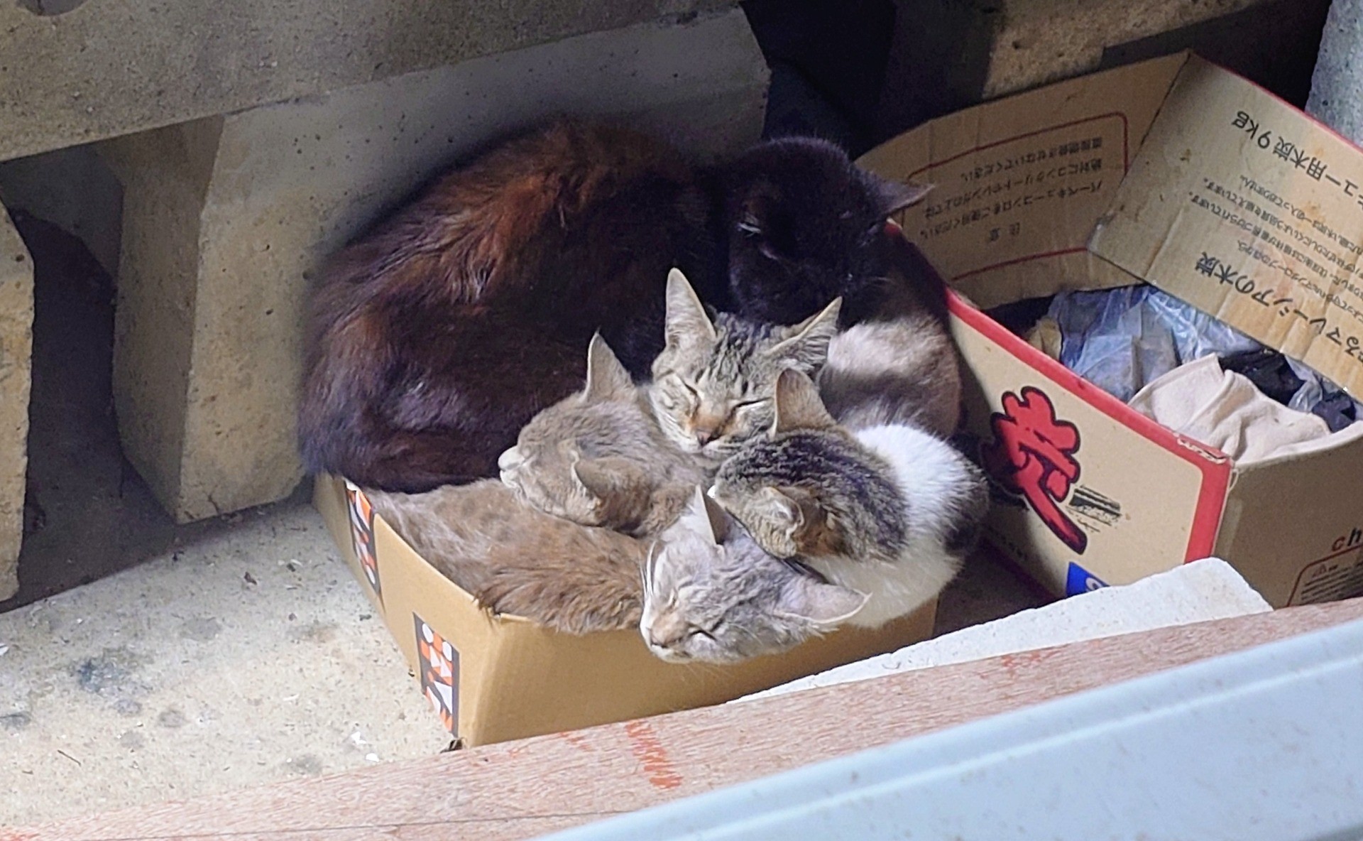 みんなでなかよくポカポカ