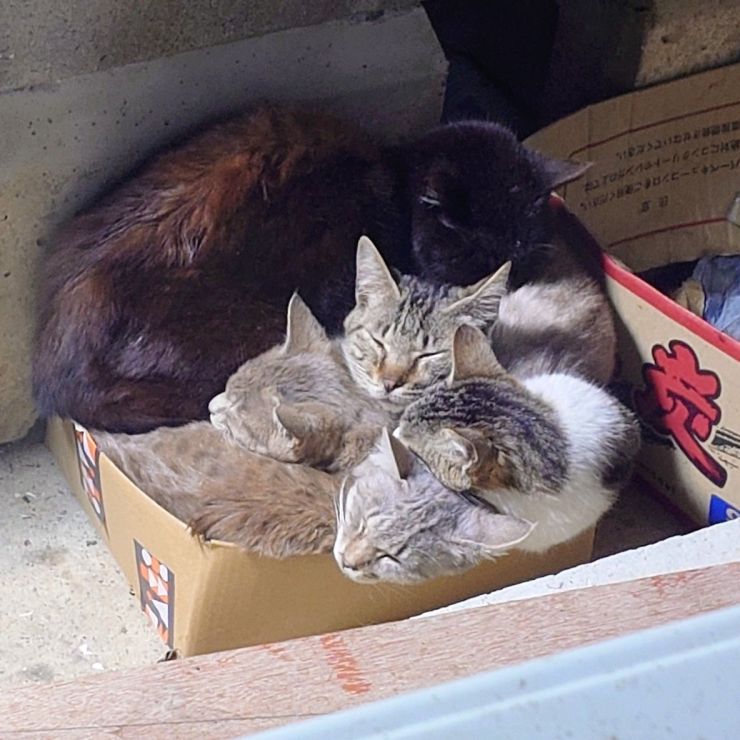 みんなでなかよくポカポカ