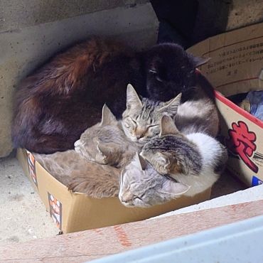 みんなでなかよくポカポカ