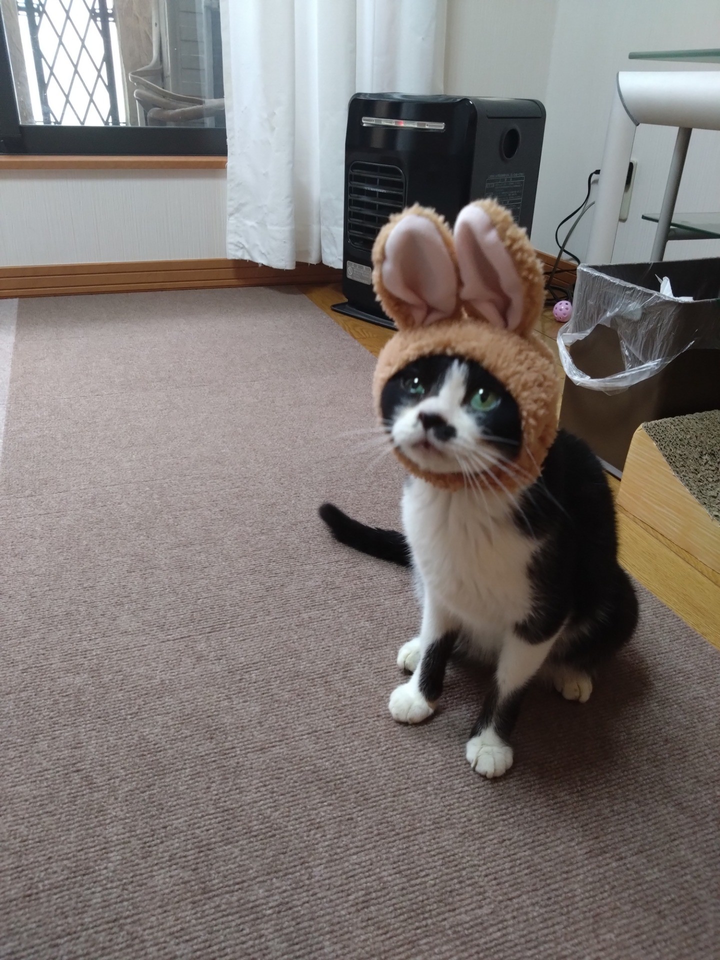 家族だよ