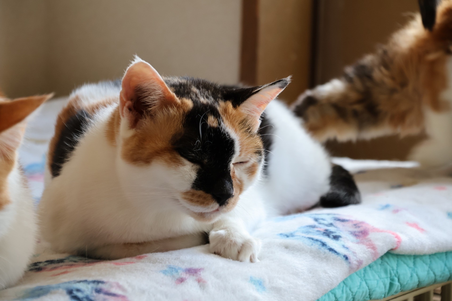 エイズキャリアだけど２１歳になりました