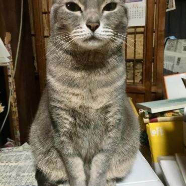 ぱとら姫さま、ようこそ我が家へ！