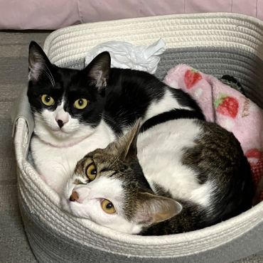仲良し？姉妹