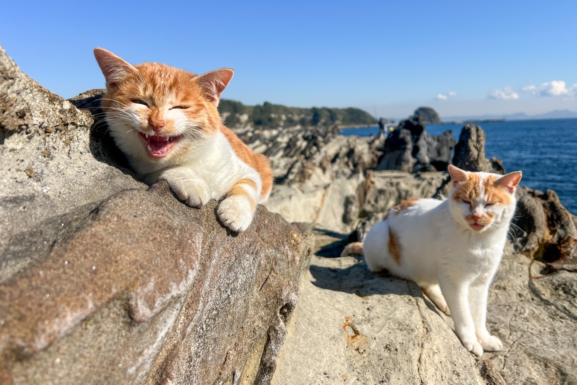 あつい視線・・