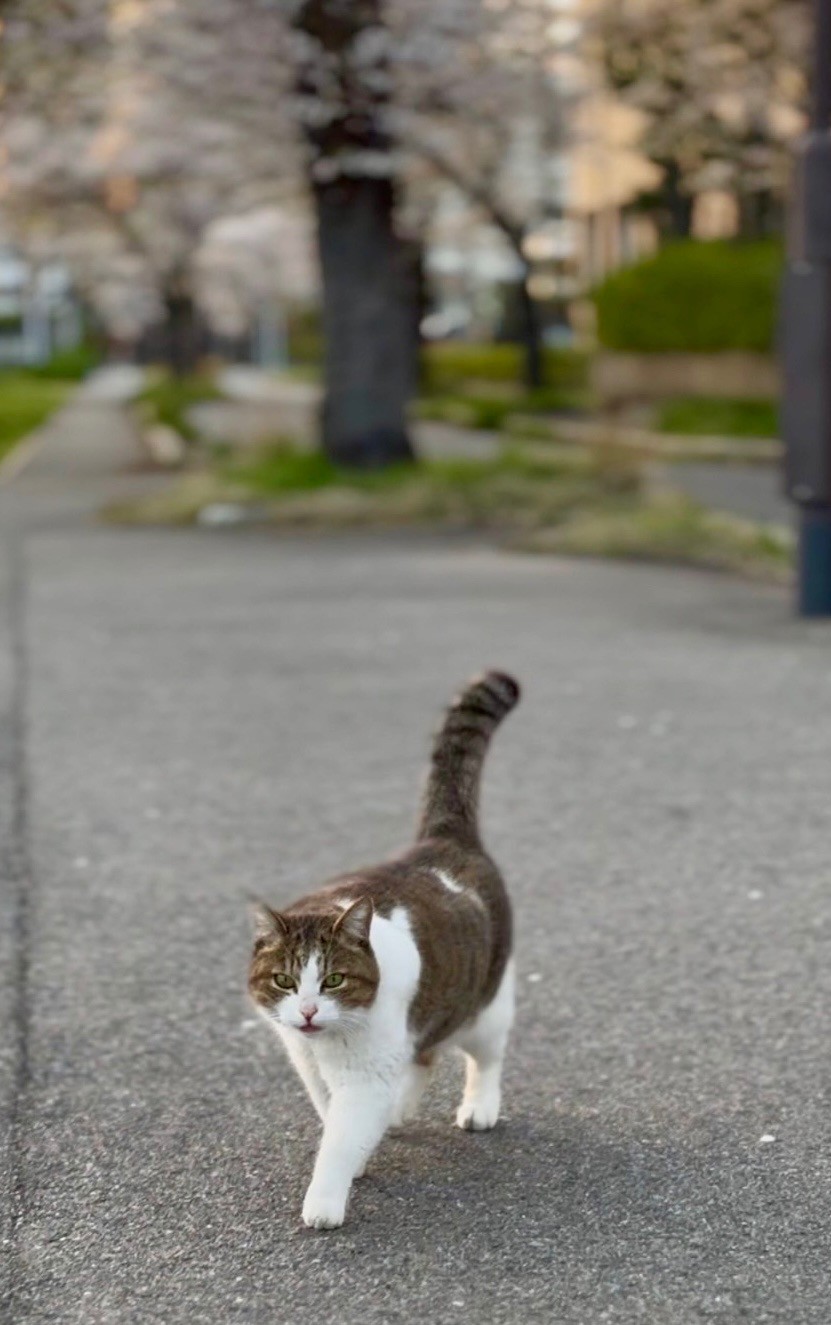 だいちゃん幸せに！