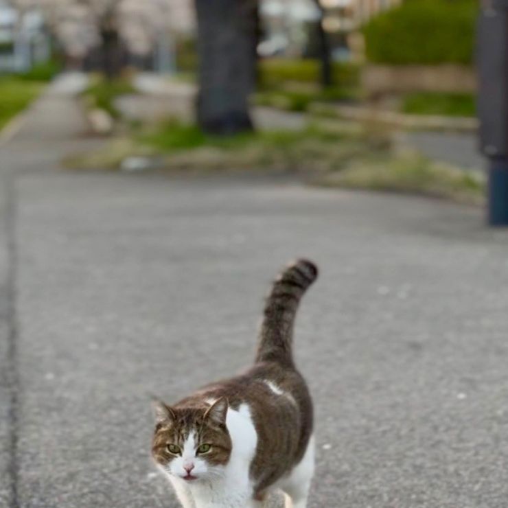 だいちゃん幸せに！