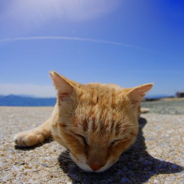 陽だまりの休憩所