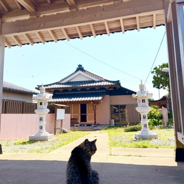 お寺の門番さん