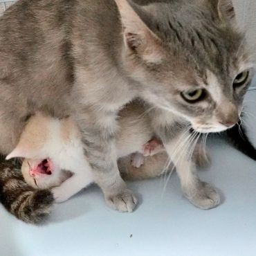 無邪気な子たち