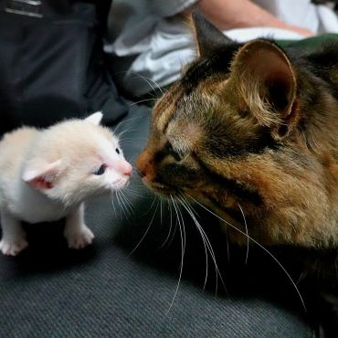 はじめまして