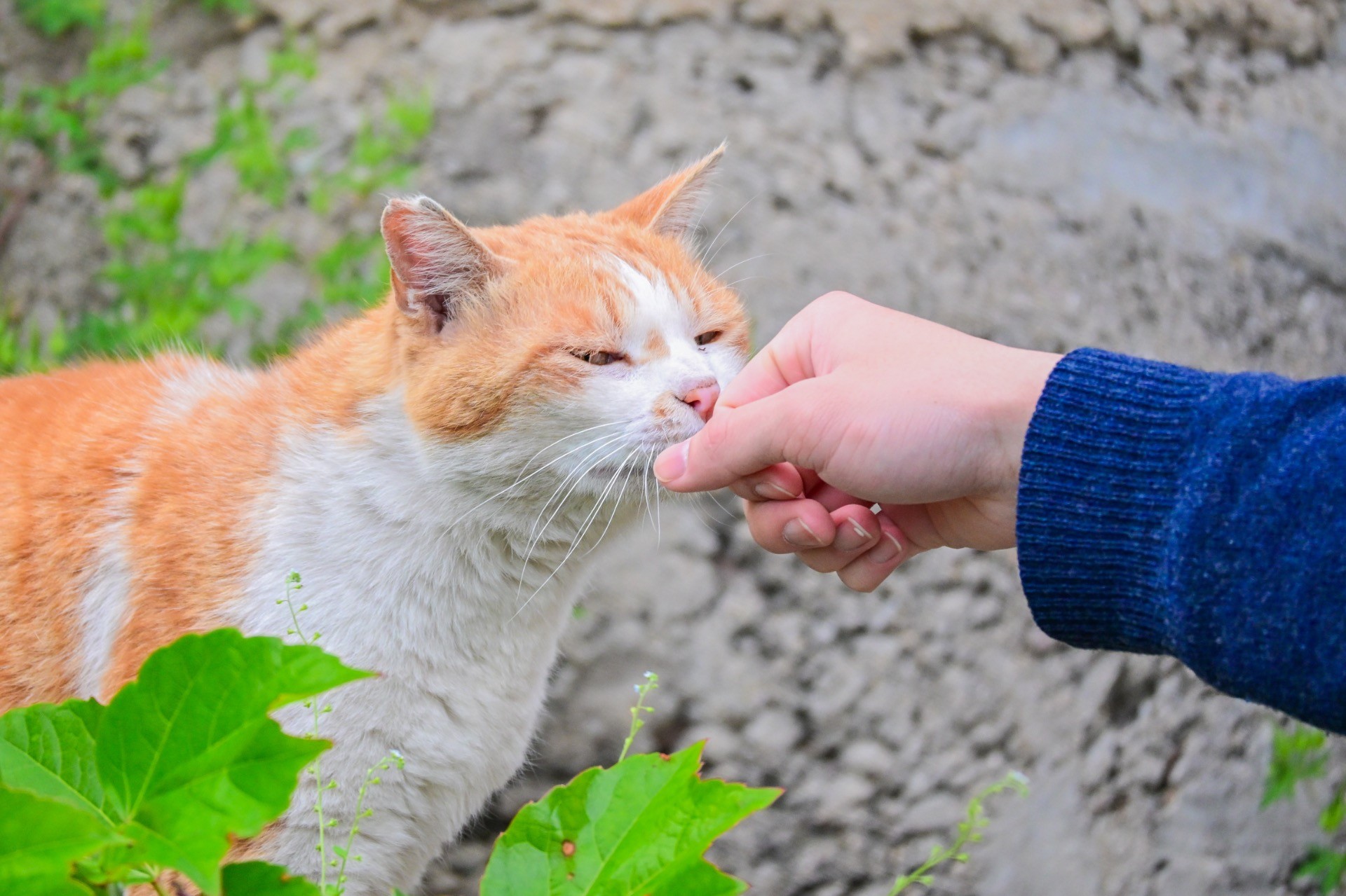 つながる温もり