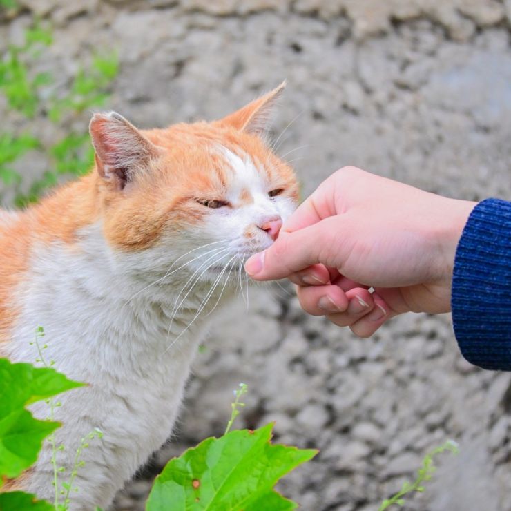 つながる温もり