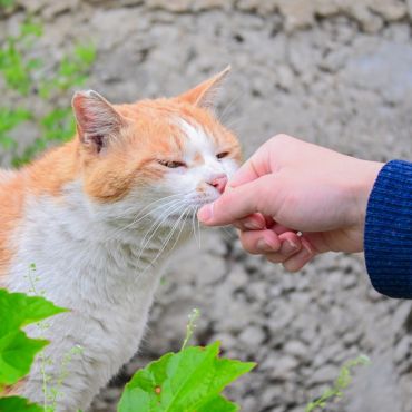 つながる温もり