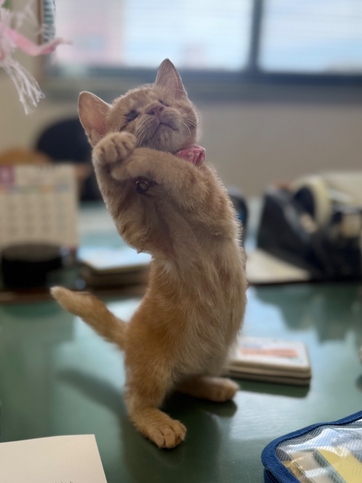 幸せになろうね^_^